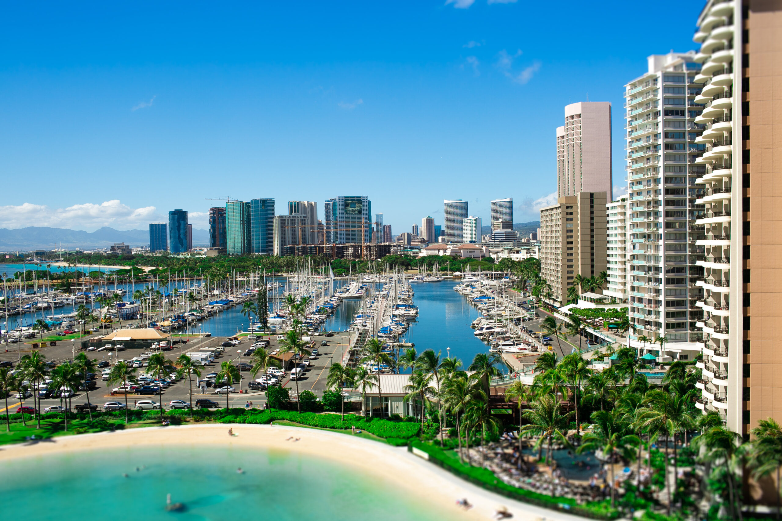WordPress development Miami