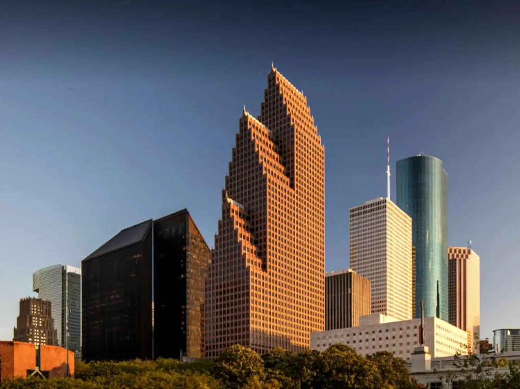 Professional WordPress Solutions Houston