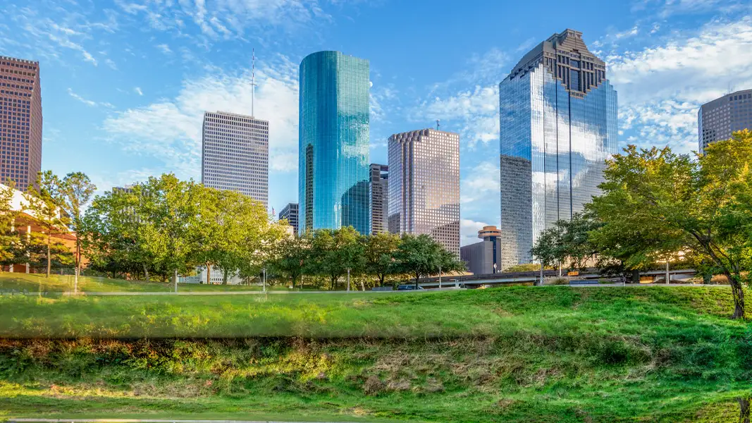 Tailored WordPress Design Houston