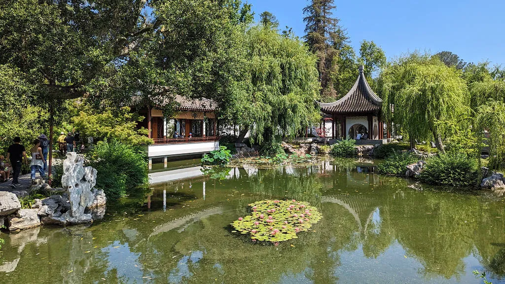 WordPress CMS Setup Services