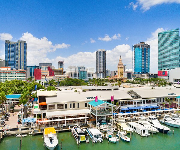 Local SEO Solutions Miami