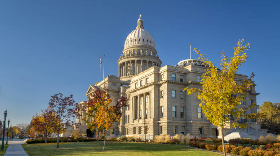 Custom Website Design Boise