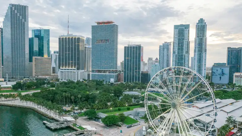 Professional Shopify Solutions