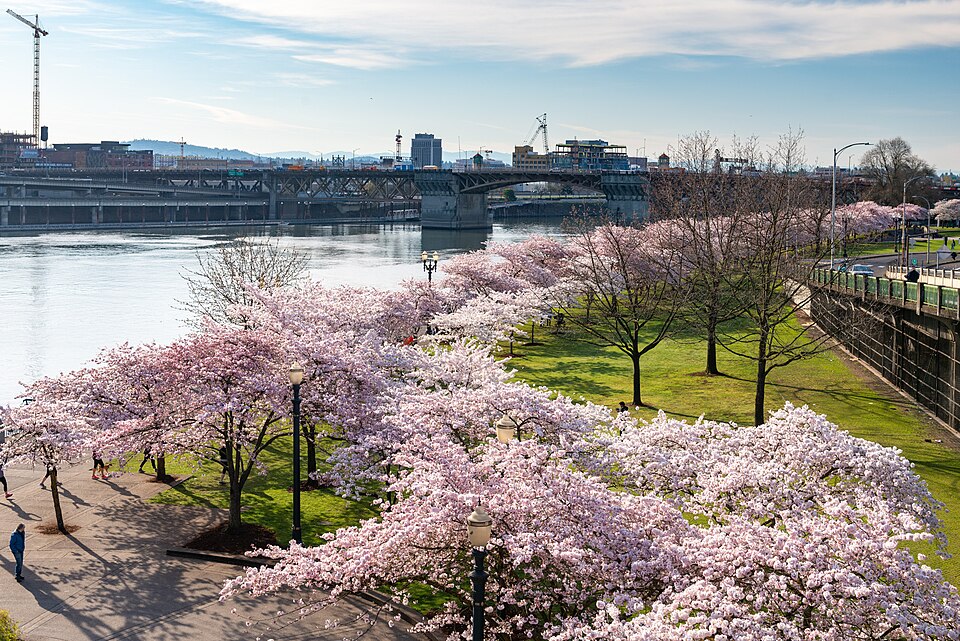 Ecommerce Experience Portland